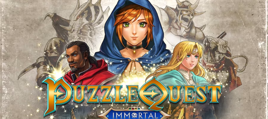 Puzzle Quest various heroes and a girl in a hooded cloak