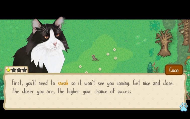 A black and white fluffy cat in the foreground says "First, you'll need to sneak so it won't see you coming. Get nice and close. The closer you are, the higher your chance of success." In the background, a mouse is centered in a field of grass.