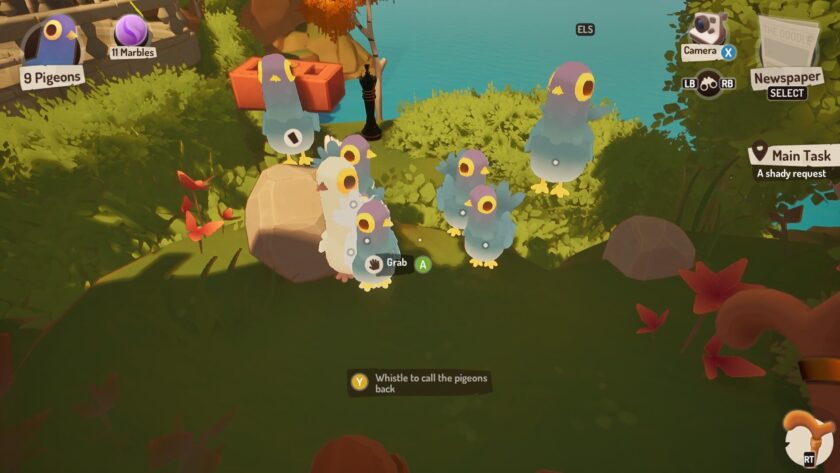 The Bench lots of pigeons