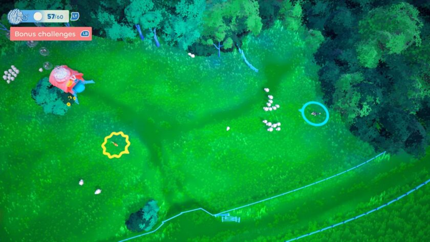 Sheepherds! herding sheep