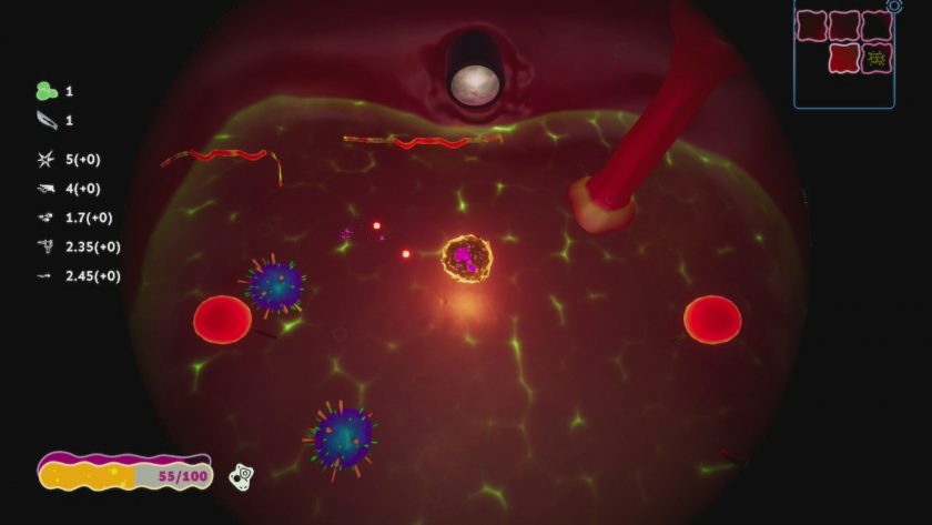 LadiesGamers Rogue 2021