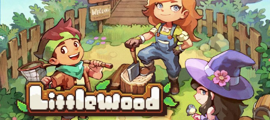 Littlewood LadiesGamers