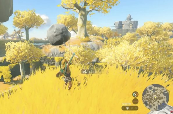 The Legend of Zelda: Tears of the Kingdom LadiesGamers 