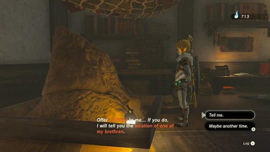 The legend of Zelda Tears of the Kingdom LadiesGamers