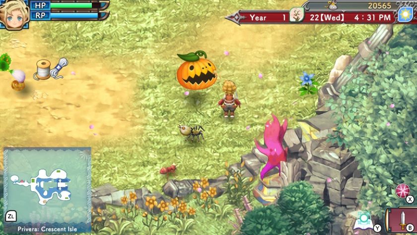 In the Spring dungeon. We see all kinds of monsters, in this case ants and spiders, and the Pumpkin Magic Seed. 