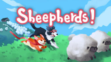 Sheepherds! dogs chasing sheep