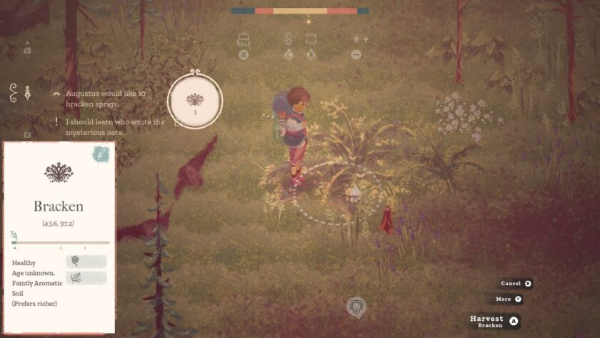 Garden character standing near a long-leafed plant, with the information card showing that it's bracken.